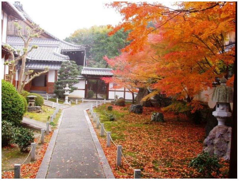 Japon Geleneksel Çay Evi, Bahçeleri ve Törenleri